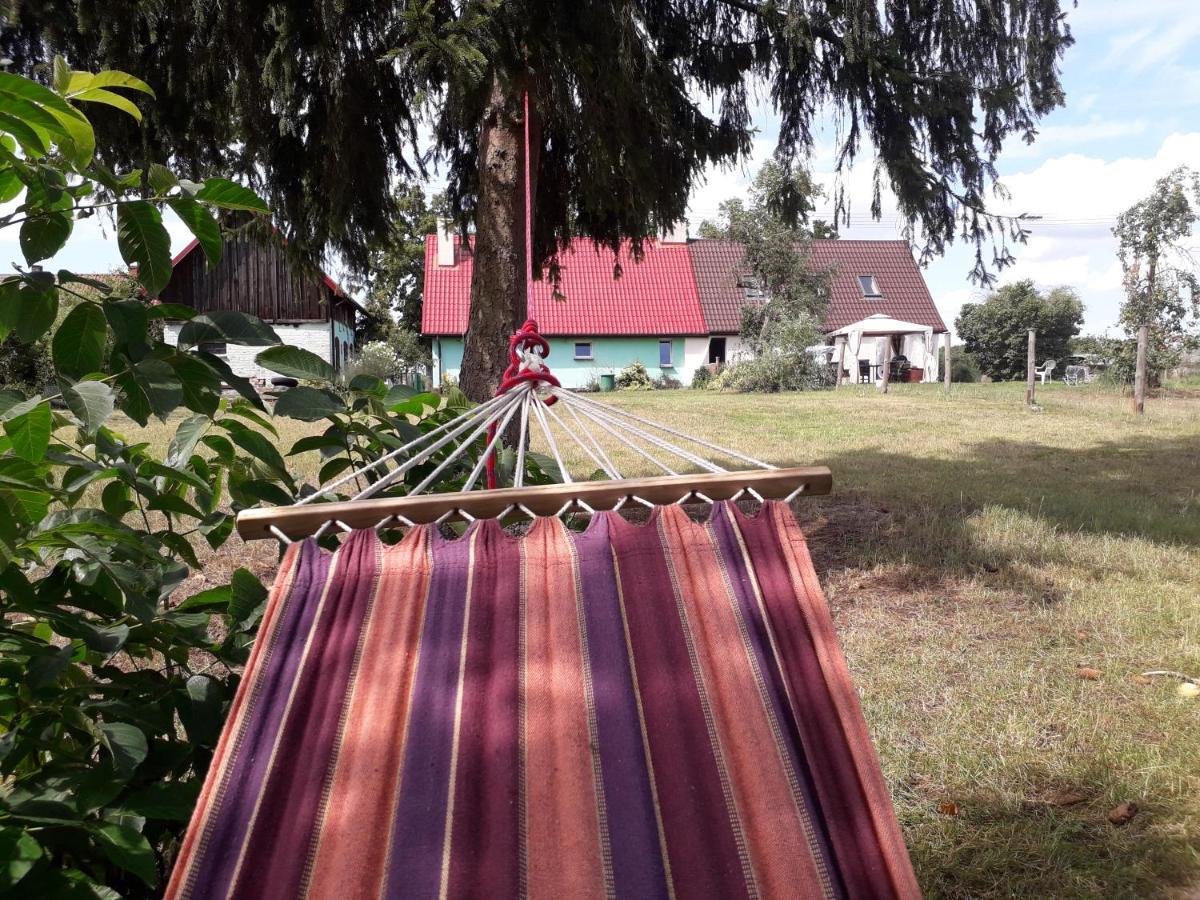 Apartamenty Nad Jeziorem Piaski 볼린 외부 사진